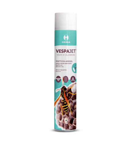 Vespajet